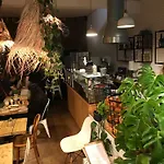 Chic & Trendy Designer Studio With Full Kitchen
